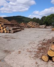 Habelitz Holz Bild 15
