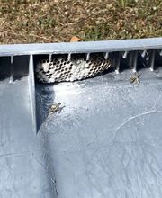 Solution 3D image 17