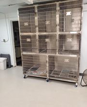 Monmouth Small Animal Hospital image 5