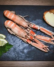 Maison Marc Daubert image 17