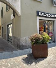 Calzedonia immagine 2