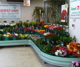 Central fleurs image 10