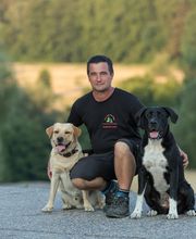 Hundeschule You And Your Dog Bild 1