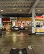 Shell Bild 14