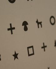 Fahrschule FunDrive Bild 5