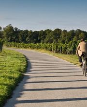 Domaine de la Côte d'Or Bild 14