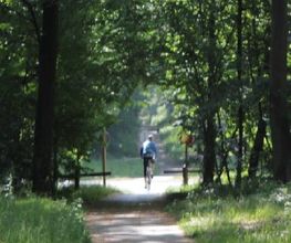 Picardie Forêts Vertes image 1