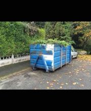 BC Service Élagage image 4