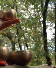 Fabienne Bos Ostéofluidique Sonothérapie Magnétisme Géobiologie image 12