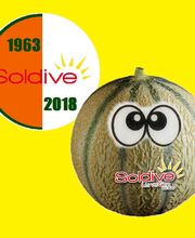 SOLDIVE SCA image 3