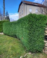 Daniel Moquet signe vos jardins - Ent. Harmony Paysage image 11