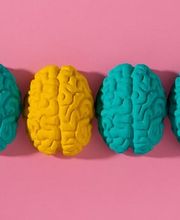 Neuro Energie Bild 7