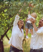 Worte als Brücke - Dagmar Bader - Freie Rednerin (IHK) Bild 2