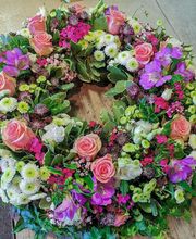 hollenstein blumengarten ag-Blumenshop-Gärtnerei-Gartenbau-Unterhalt-Grabpflege Bild 7