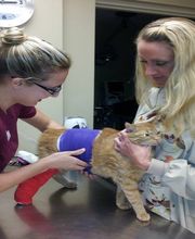 Oakhurst Veterinary Hospital image 6