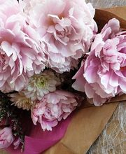 Jo'lys Fleurs image 1