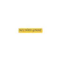 Molinari Gomme logo