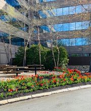 Cassidy Landscaping & Masonry image 18