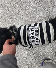 The Pet Wellness Group: Hebron image 5