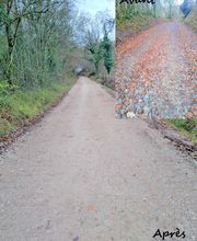 Lessinger T . P . SAS image 5