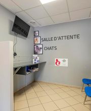 Clinique vétérinaire de Cognac - Sevetys image 18