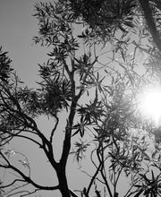 Anna Schmutte Kinderfrage Coaching Bild 2