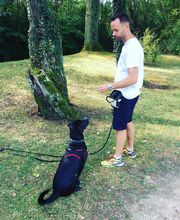 Animal & Vous image 8