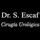 drescaf_logo.jpg