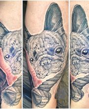 Fein gestochenes Black-and-Grey-Tattoo einer Französischen Bulldogge mit Seil und realistischen Fell-Details.