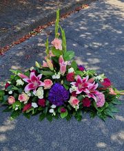 Hellebore image 3