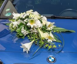Blumen Kaimer Bild 9