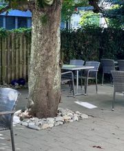 Restaurant Rössli Belp Bild 8