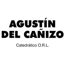 agustinlogo.PNG
