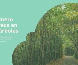 AirCO2 Fintech imagen 1