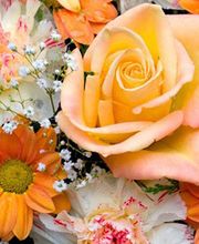 Natur'elles Fleurs image 1