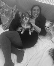 CoBe Dog Bild 1