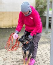 KaNi.Dogs-Olpe Mantrailing meets Fun Bild 6