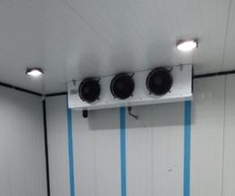 230807059-1-bjBveHxAlQ1679966267786.jpeg