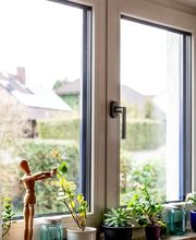 Wiedmann GmbH Bild 1