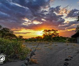 Go'n joy Africa Bild 3