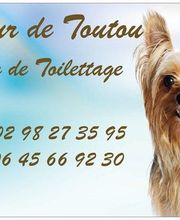 Amour De Toutou image 5