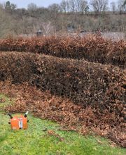 Felix Schön Garten- und Landschaftspflege