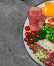 HUNDherum glücklich mit Antje Schnitzler Hundefutter-Vergleich24 | ANIfit Bild 3