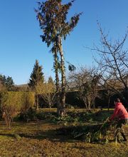 Allais et Fils image 11