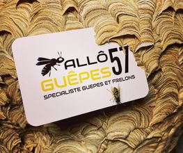 Allô Guêpes 57 image 3