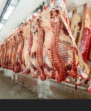 Diali Foods, sas image 3