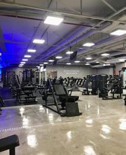 Gimnasio VivaGym Londres imagen 1