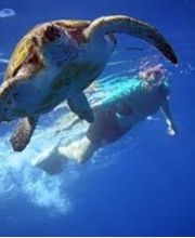 Buceando en Tenerife