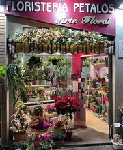 floristeria petalos imagen 10