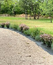 LOUBIERE DOMINIQUE image 5